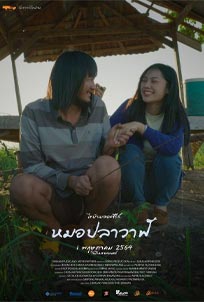 ดูหนัง หมอปลาวาฬ