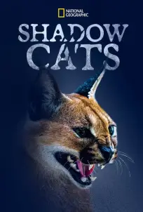 Shadow Cats (2022)
