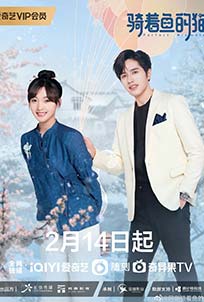 Perfect Mismatch (2023)