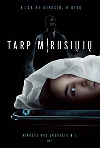Play Dead (2022)