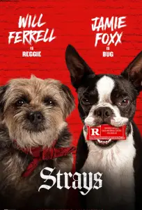 Strays (2023)