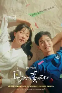 Like Flowers In Sand (2023)