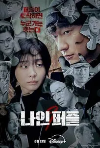 Nine Puzzles (2025)