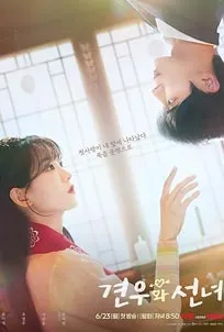 Head Over Heels (2025)